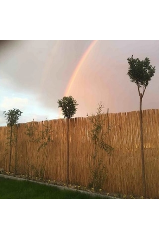 120 Cm X 7 Metre Doğal Bambu Çit Hasır Kamış Bahçe Çiti Balkon Çiti Dekorasyon Gölgelik Çit