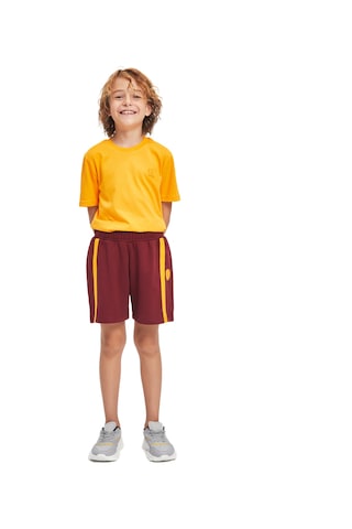 Gsstore Galatasaray Çocuk Şort C241081 Bordo