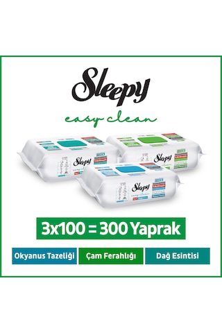 Sleepy Doğa Serisi Yüzey Temizlik Havlusu Mendili Çam+Okyanus+Dağ Esintisi 3x100 (300 Yaprak)