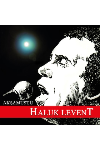 Haluk Levent - Akşamüstü Plak