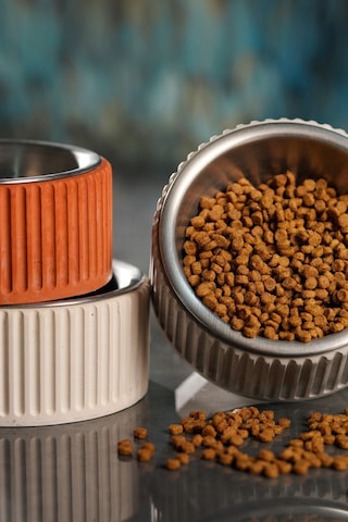 Beton Kedi Ve Köpek Mama/su Kabı Devrilmeye Dayanıklı, Paslanmaz Çelik Kaseli