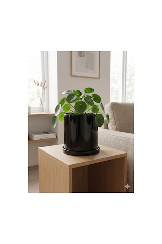Romeo Seramik Saksı Parlak Siyah Tabaklı Çap:18cm Yükseklik:18cm Romeo Seramik Saksı Parlak Siyah Tabaklı Çap:18cm Yükseklik:18cm