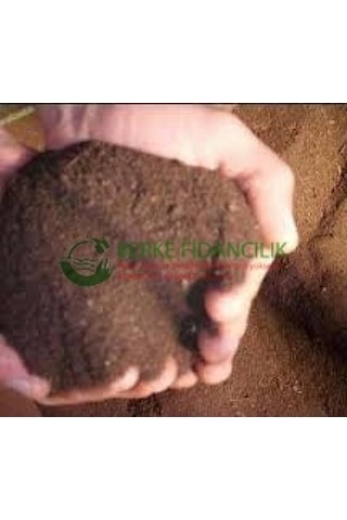 1 Kg Terrarıum Toprağı, Sukulent, Kaktüs Toprağı Organik, Kokusuz Diğer