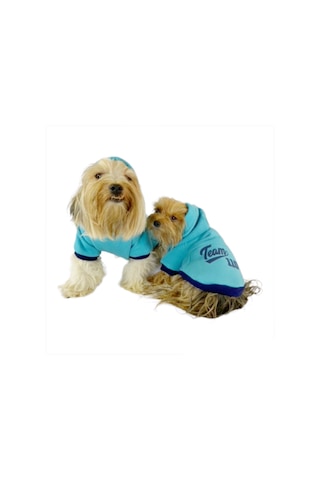 Kemique Team Sweatshirt Kedi Kıyafeti Kedi Elbisesi
