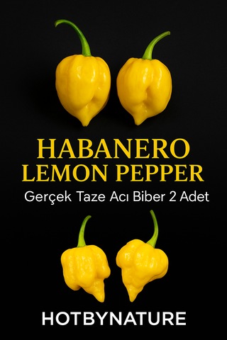 Habanero Lemon Pepper / 350.000 Scoville - Gerçek Taze Acı Biber Habanero Lemon Pepper / 350.000 Scoville - Gerçek Taze Acı Biber