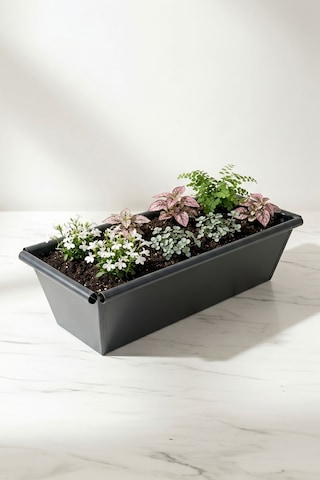 Metal Dikdörtgen Balkon Saksılığı - 53 Cm Paslanmaz Galvaniz Dekoratif Yatay Çiçeklik Antrasit