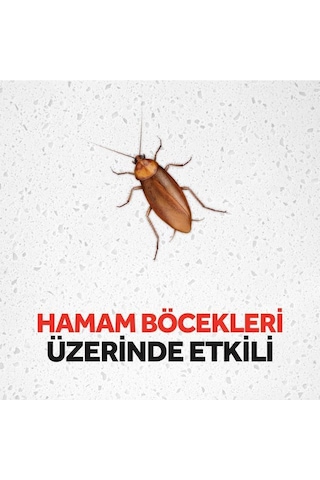 Raid Hamam Böceği Yemi 6’lı Her Tablet ile 3 Ay Koruma