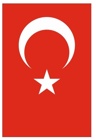 Yıldızsan Bayrak 100x150 Cm Alpaka Kumaş Türk Bayrağı