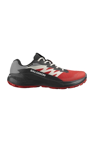 Salomon Alphaglıde Gore-tex Erkek Ayakkabısı L47975200 Çok Renkli