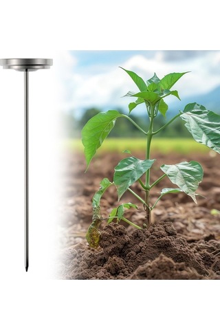 Trendooze Dış Mekan Toprağı Kompost, Bahçe Dikim İçin