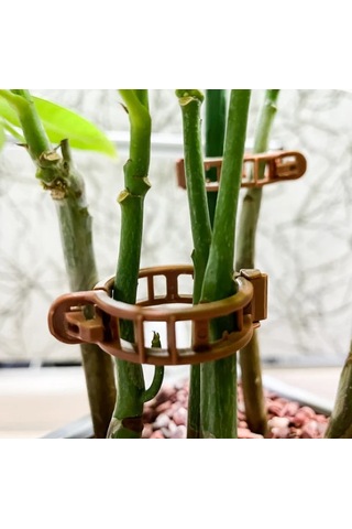 Sera İpi 1 Kg Ve Bitki Klipsi 250ad Domates Kelepçesi