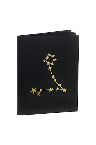 Balık Burcu Yıldız Haritası Defter