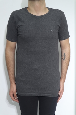 Santa Dmctekstil Erkek Düz Spor Kesim Dar Kalıp Bisiklet Yaka Basic T-shirt Füme