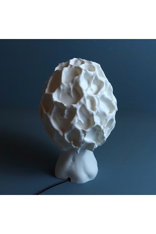 Esculenta Mantar Masa Ve Gece Lambası