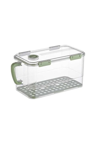 Pazly Yumurta Suntek Kutusu İçin Gıda Ev Dolabı Depolama Ef Yeşil