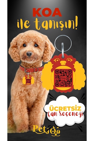 Petjoo 14.Koa Sarı-Kırmızı Qr'lı Köpek Künyesi