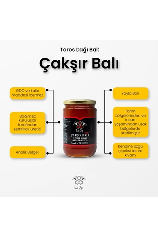 Toros Dağı Bal Çakşır Bal 860 G