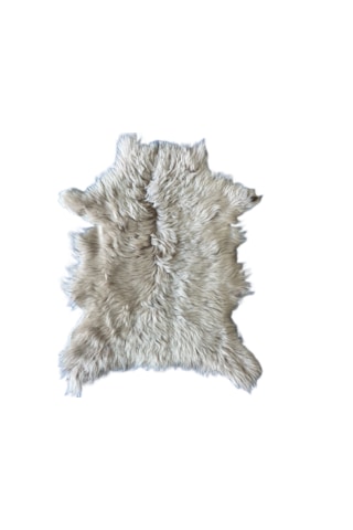 Gerçek Uzun Tüylü Koyun Postu Bej 60 X 50 Cm