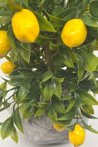 Geometrik Mermer Desenli Beton Saksıda Limon Ağacı Sarı - Yeşil