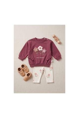 Deniva Kids Kız Bebek Gül Kurusu 3 Boyutlu Çiçek Nakışlı Fırfırlı Sweatshirt Ve Kaşkorse Tayt 2'li Takım Pembe