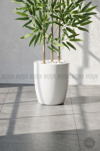 Biçiçek 110 Cm Bambu Ağacı Beyaz Yakut Saksıda