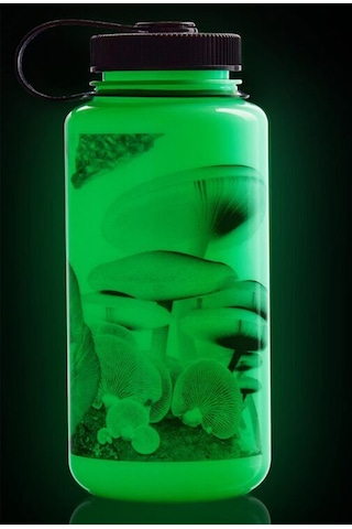 Nalgene Wide Mouth 32 Oz Suluk Matara 1 Litre Glowyld Mushrooms 682025-0032 Yeşil