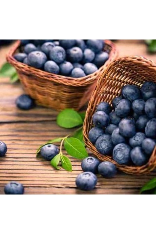 Bizim Yöresel Yaban Mersini Reçeli 460 G