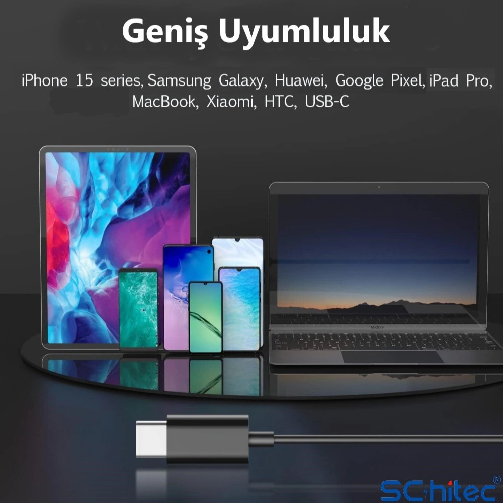Schitec E30 High Sound Type-c Girişli Kulak İçi Mikrofonlu Kablolu Kulaklık Siyah Diğer