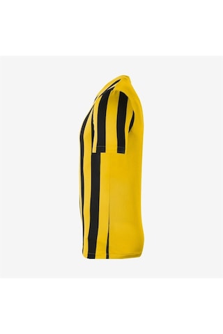 Nike M Striped Division Iv Jsy Erkek Forma Çok Renkli