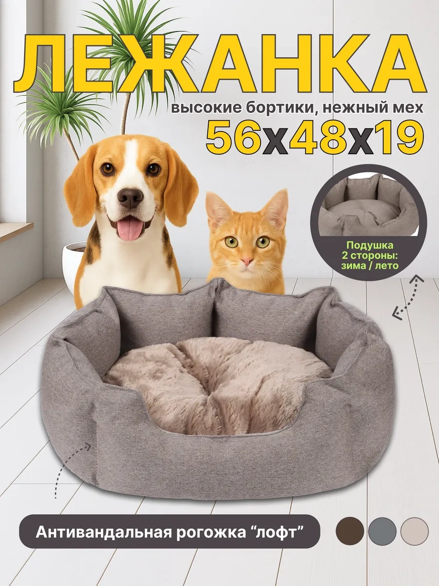 Rıch Breed Kedi Ve Köpekler İçin Kenarlı Yumuşak Yatak 434862462