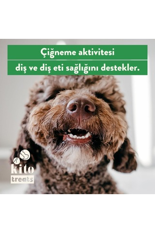 Kito Dana Akciğer Küp Atıştırmalık Köpek Ödül Maması%100 Doğal, Glutensiz, Organik 100 Gr Dog Treat