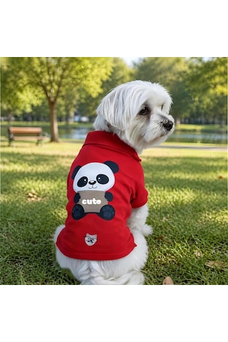 Miniş Cute Panda Küçük Irk Köpek Pike Kumaş Polo T-shirt-21581