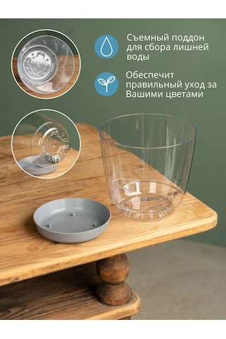 Elly Home Küçük Şeffaf Orkide Saksısı 171430253