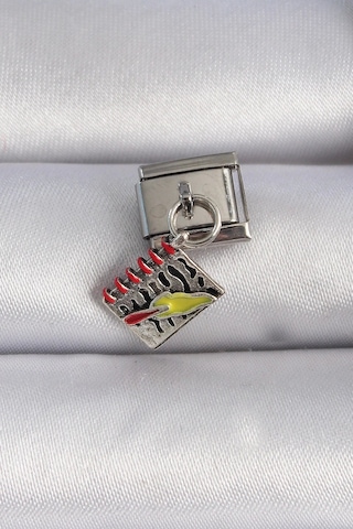 316l Çelik Gümüş Renk Sallantı Defter Figür Nomination Charm