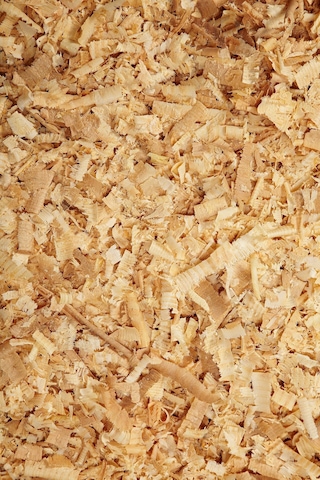 Doğal Çam Talaşı Kemirgen Altlığı 15 Lt - Tavşan, Hamster, Ginepig İçin Tozsuz Ve Yüksek Emici 20 Adet