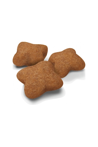 Royal Canin Kısırlaştırılmış Yavru Kedi Maması 2 KG