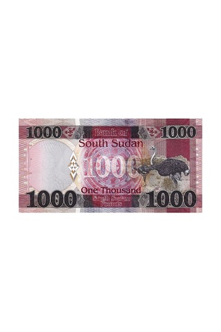 Güney Sudan 2024 Yılı 1000 Pound Kağıt Para Çil Unc Koleksiyon Para