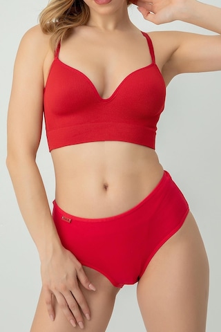 Doremi Seamless Kaplı Sütyen 001