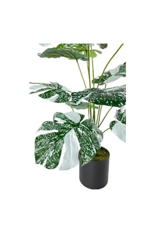 70 Cm Boyunda Yeşil Beyaz Yapay Monstera Saksı Bitkisi, 12 Dal 20beyazcipso