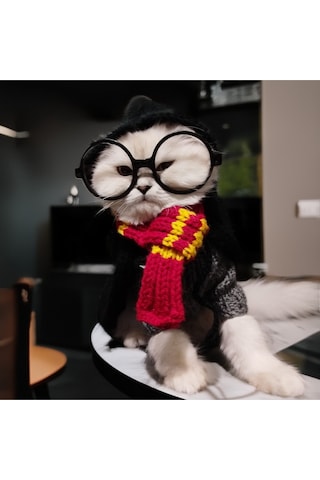 Kedi Ve Köpek İçin Harry Potter Kostümü Cüppe, Kazak, Kaşkol Ve Gözlük Takım