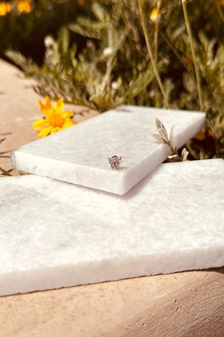 Kelebek Model Şık Tasarım Zirkon Taşlı Gümüş Renk Çelik Piercing Tragus Helix Stainless Steel