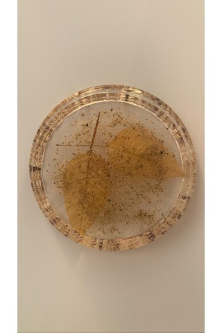 Deniz Kumlu Ve Kabuklu Kurutulmuş Yapraklı Epoksi Bardak Altlığı Şeffaf