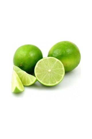 5 Yaş Aşılı Lima Verde Tatlı Lime Limon Fidanı. Torbada