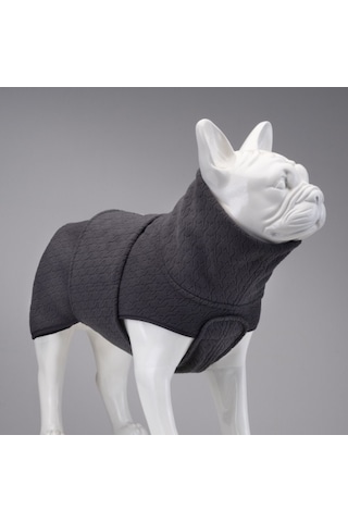 Ashen Grey Küçük, Orta Ve Büyük Irk Köpek Poları