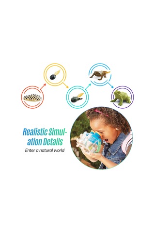 Yifomall 25 Adet Hayvan Büyüme Döngüsü Modeli + 25 Kart - Çocuklar İçin Doğa Bilgisi Eğitici Öğretim Aracı Kelebek, Kurbağa, Arı, Böcek, Deniz Kaplumbağası, Yavru Penguen