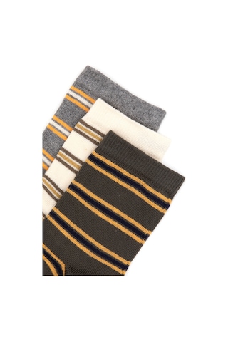 U.S. Polo Assn. U.s. Polo Assn. Erkek Çocuk Haki Çorap Soket 50318042-vr027