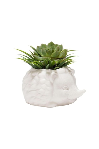 Kikkerland Prıckles The Hedgehog Planter Seramik Kirpi Saksı