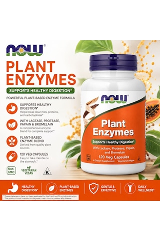 Now Foods Plant Enzymes With Lactase, Protease, Papain, And Bromelain 120 Veg Capsules