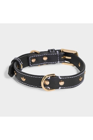Adidas Originals Siyah Pet Tasma Ky8799