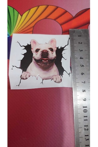 3d Hayvan Desenli French Köpek Figürlü Sticker Etiketi